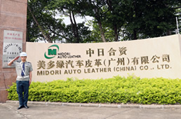 美多綠汽車皮革